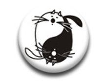 ������ 25 �� - ���-������� ����.jpg