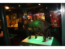 ��������. �����.JPG