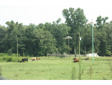 ��������. �� ������3.JPG