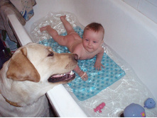 6 �������. ��������� �����