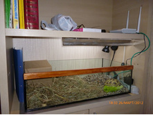 ����� ����������