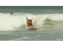 ������ �� �����.gif