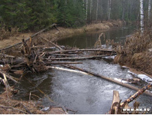 ����� ����� ������ �������� ��������