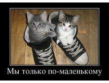 6086834_myi-tolko-po-malenkomu.jpg
