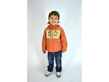 ������.jpg 790 �.