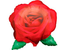 ���� �������.jpg