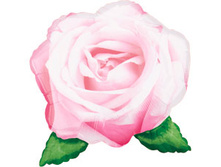 ���� �������.jpg