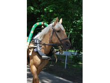 �������� ������� ������