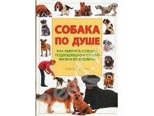 ������ � ����. ������� ��� ��������� �����