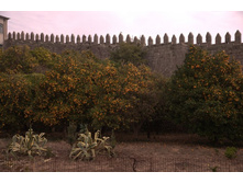 � ����� �� ��������...