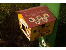 ���� ��� �������� �������. 