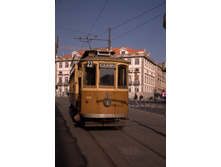 ������ ������� ������� � �����