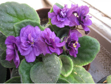 ������������