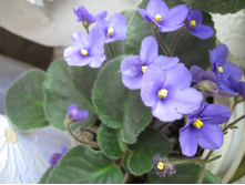 ������������