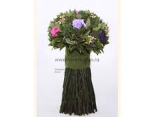 V09-049.jpg - 2660+%