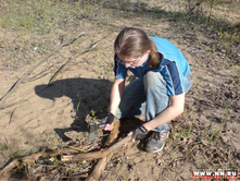 ��������� ����