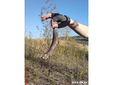 ������� �����