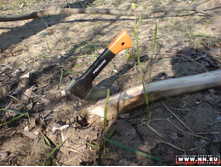 ��������� �������