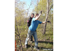 ������� ���� �� �������