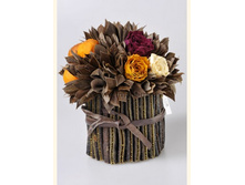 V(S)10-137.JPG - 2380+%