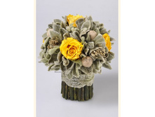 V03-3513.JPG - 1750+%