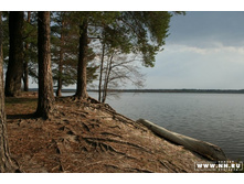 ���� �������