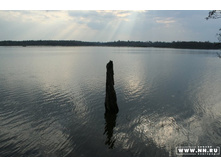 ������ � ����