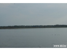 ������ �����