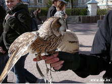 ���� �������