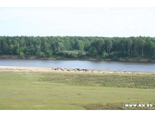 ������� � ������� ������� ����