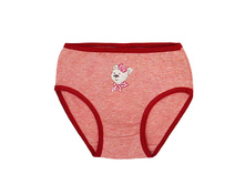 011-105-23 �������. ���� 110�+%