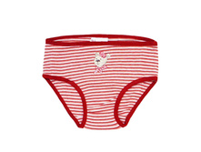 011-105-24 �������. ���� 110�+%