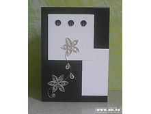 �����-����� ����