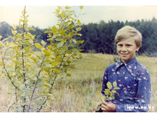 ������� � �������