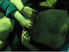 ����������� 160