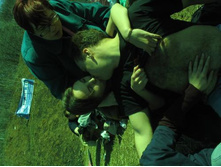 ����������� 161