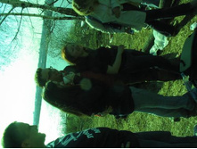 ����������� 241