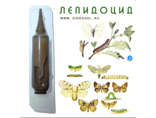 ���������(5 ��)_15���