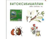 ���������������(20 ��)_25���+%