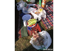 ��������-����������