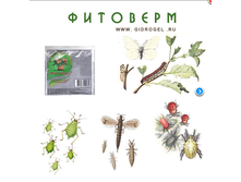 ��������( 4 ��)_15 ���+%