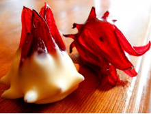 Cricklewood_Chocolates_Etsy_Wild_Hibiscus.jpg