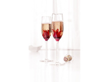 Hibiscus in champagne.jpg