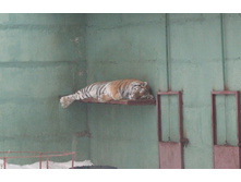 ����� IMG_9569.JPG