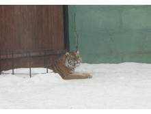 ����� IMG_9568.JPG