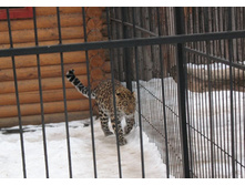 ����� IMG_9555.JPG