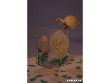 ���� /������� ���