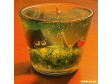 ����� �������