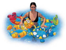 ���� �������� Bestway (3-6) 36001 �������� 64�56��, 75�