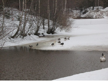 ����� IMG_9543.JPG